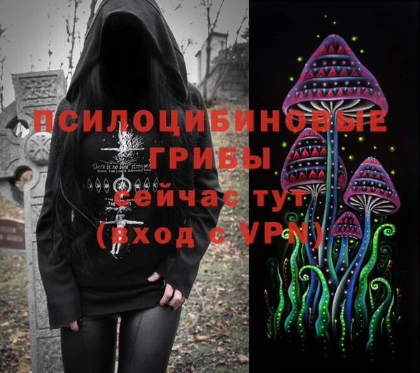 крисы Алексеевка
