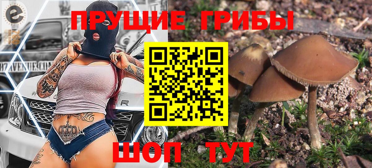 Псилоцибиновые грибы GOLDEN TEACHER  Вход с VPN  Нововоронеж 